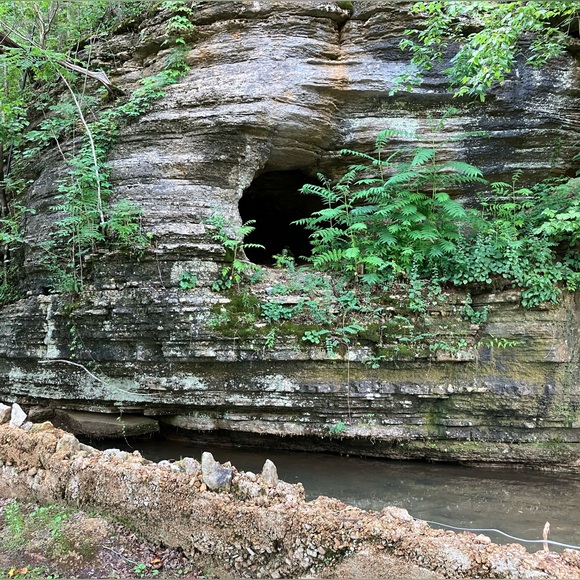 Meet your Posher, Cynthia - Picture 6 of 10